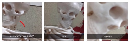 asapscience:  fanmanning:  I love my humerus humor.  A++++