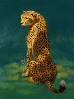 tamberella:  A quick cheetah painting I did