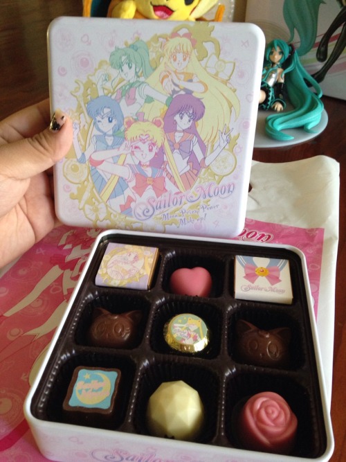watsername69:I got Sailor Moon Chocolates
