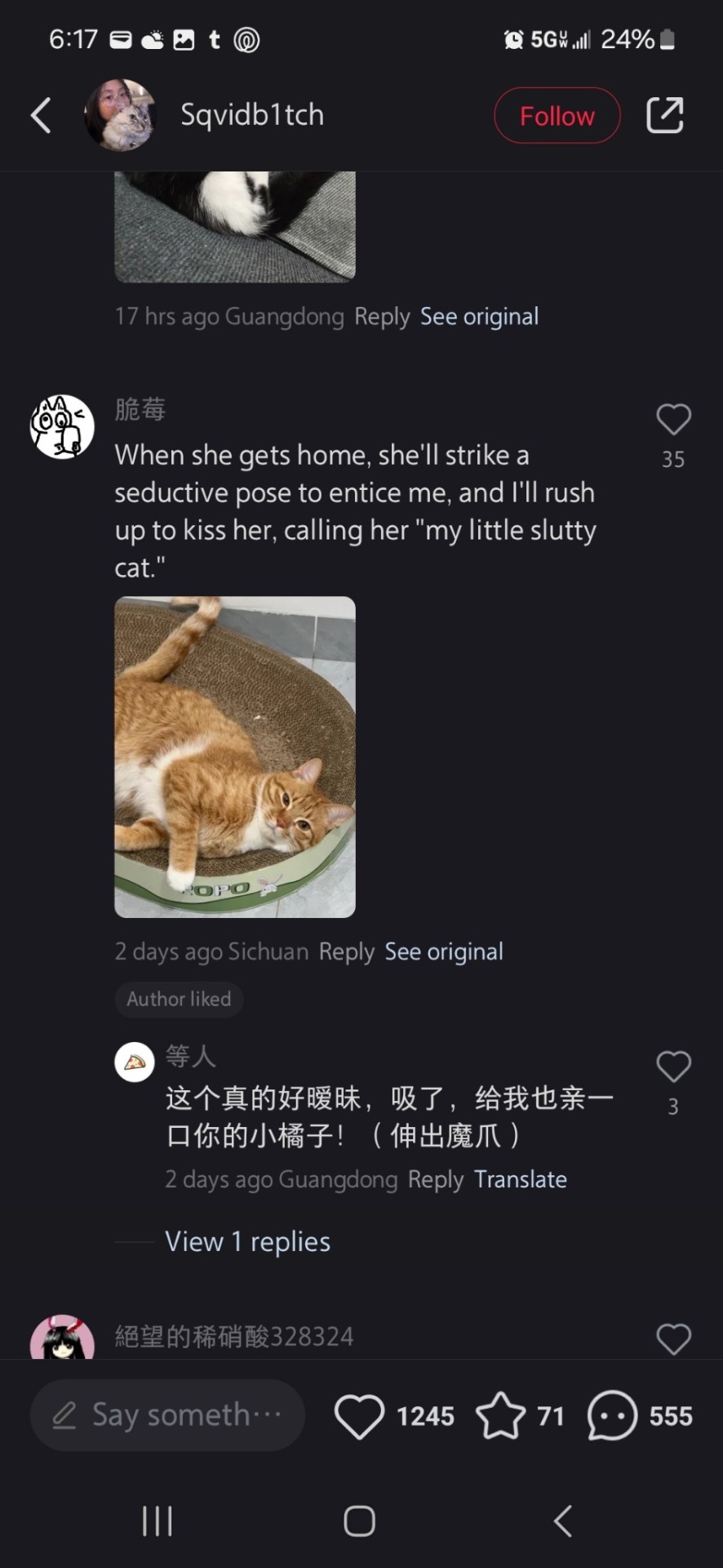 Tumblr media
