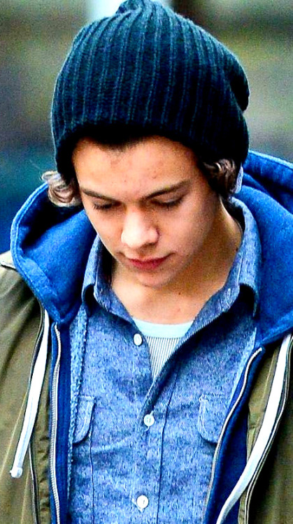 larrygang-ordie:  stopithazza:  Harry Styles Beanie Appreciation (part one)   his bear one tho omg 