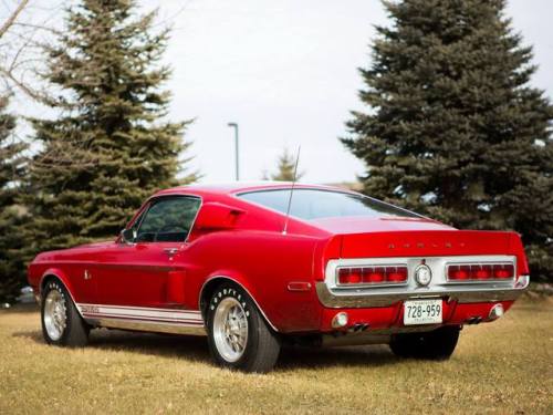 mustanglegendarymachine:1968   Cobra GT500KR  