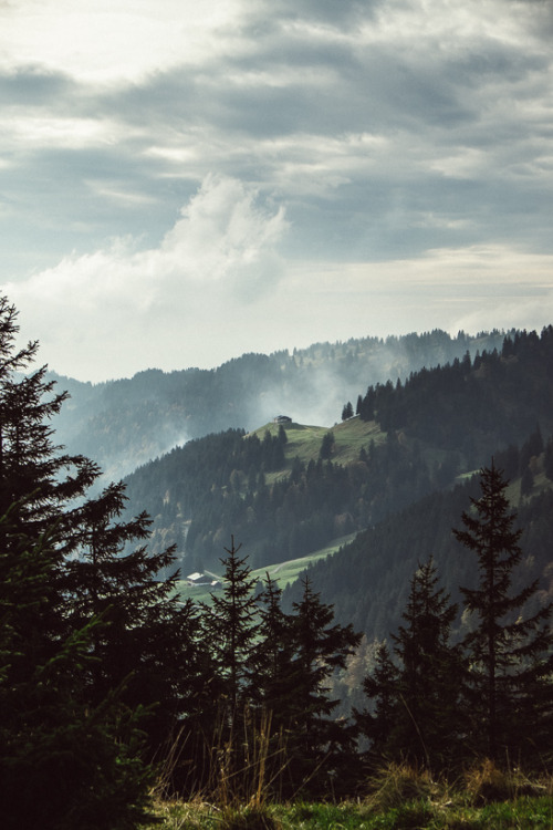 thonu:Bleicherhorn mit Ausblick. Nagelfluhkette, Allgäuer Alpen.