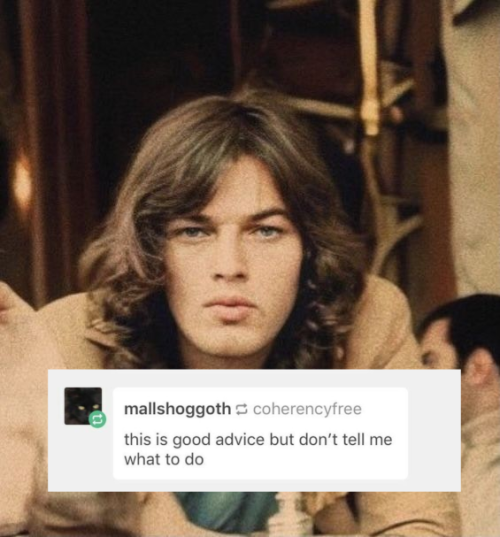 Pink Floyd Textposts