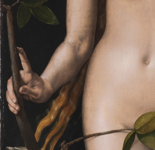rubenista:Albrecht Dürer, Adam and Eve (detail), 1507. Oil on panel, 209 × 81 cm. Museo d