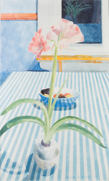 Amaryllis  -   Marjatta Hanhijoki , 1991.Finnish,b.1948-Watercolour , 108 x 64 cm.