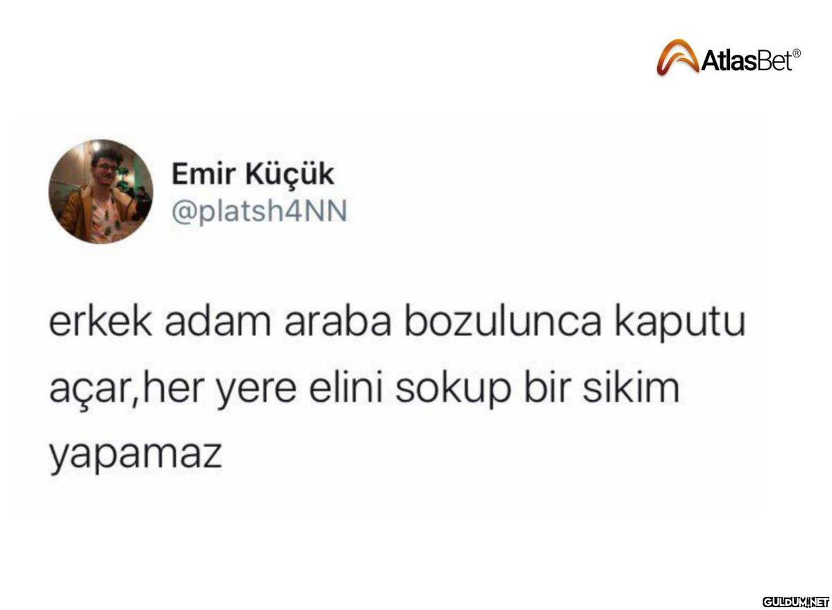 Emir Küçük @platsh4NN...