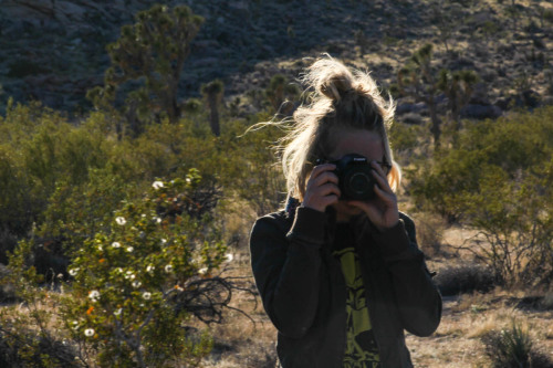 Joshua Tree National Park.