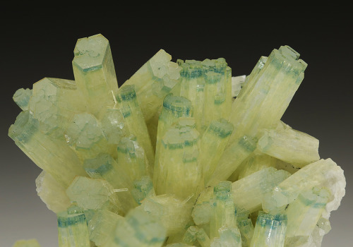 Beryl - Bergsig Farm 167, Erongo Region, Namibia