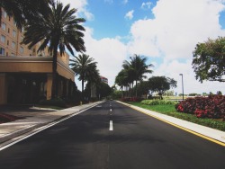 delamind:Miami Streets 🌴🌴🌴Photography