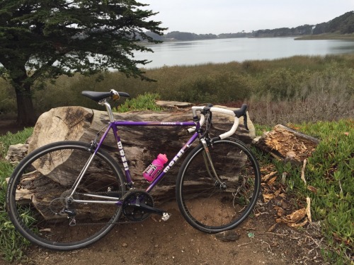 lucylithe: Grey day ride.