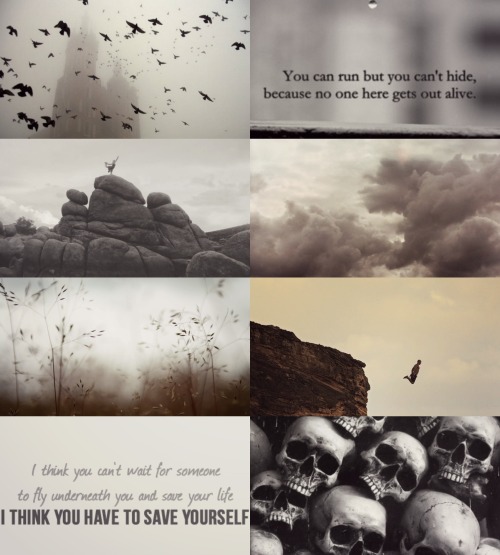 Element Aesthetics: Air/Wind