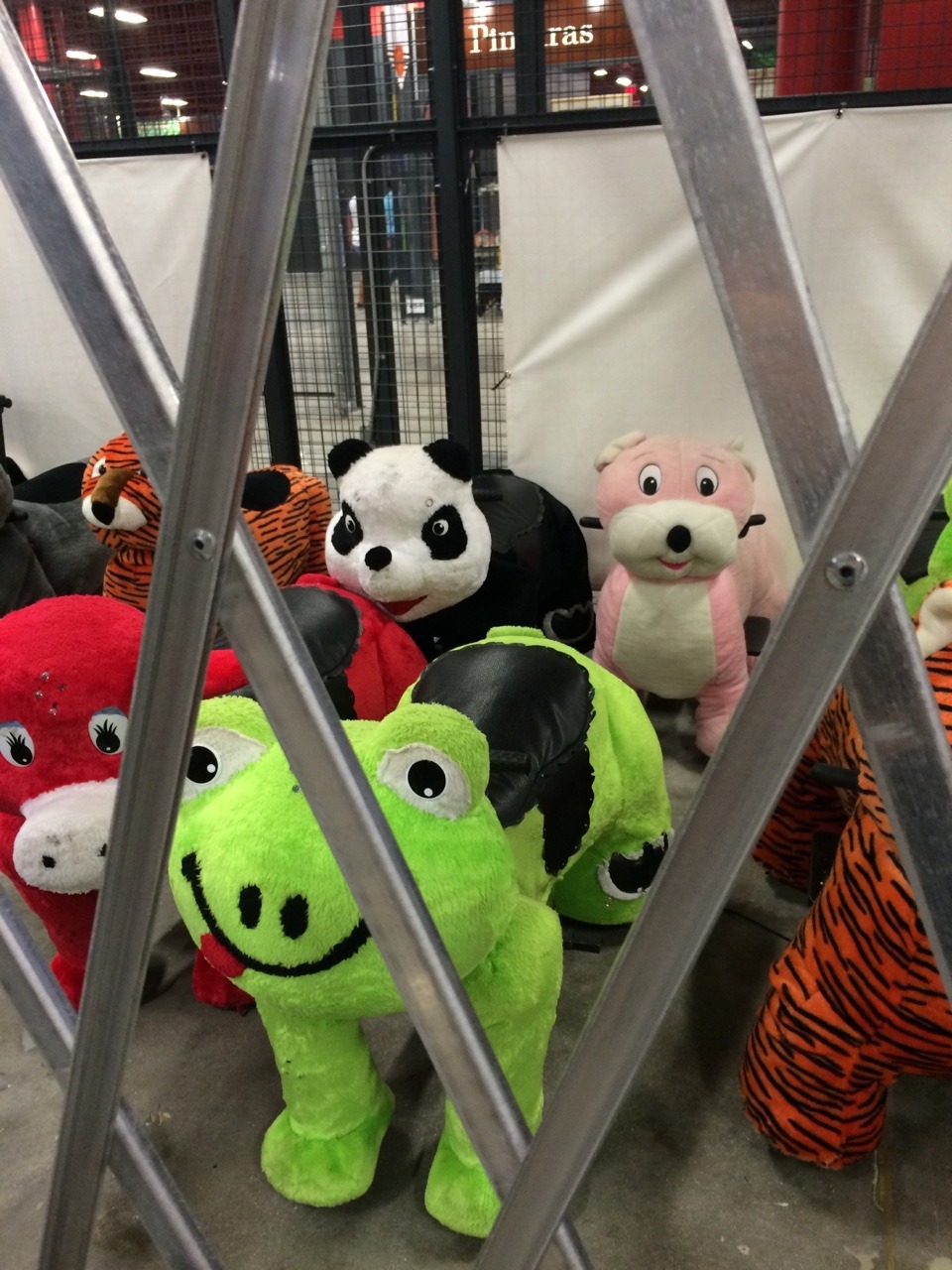preteenager:  dogjpeg:at this weird “mall” near me you can rent these animal