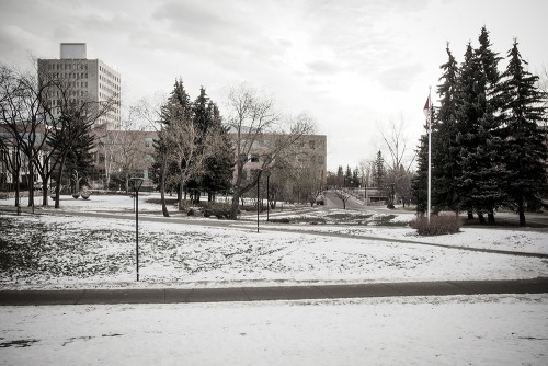 rbrt-clrk: “Newcomers to a big city often feel isolated, for a variety of reasons. There may b