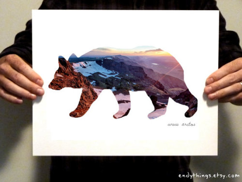 Grizzly Bear Habitat Print, $12.00