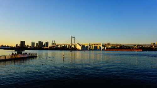 Tokyo bay