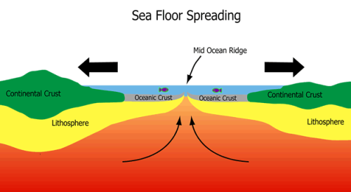 Robert Dietz – Scientist of the DayRobert Sinclair Dietz, an American marine geologist, died M