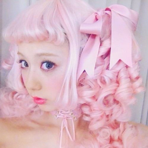 Porn photo youwinktwice:  Cotton candy poodle