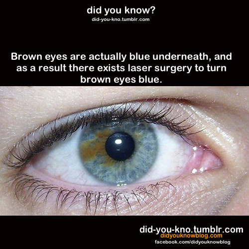 did-you-kno:  Source