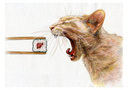 thecatart:  NEW PRINT, Cat, Sushi, Animals, Print of Original Watercolor Painting, Photo print cat pictures art