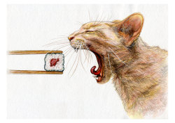 thecatart:  NEW PRINT, Cat, Sushi, Animals,