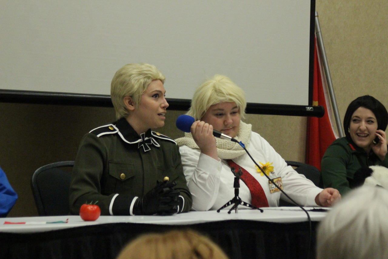 figuringitoutasigoalong:  Hama-con 2013 day three! The last of the Hetalia panel