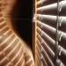 its-always-the-quiet-girl-deact:Bathed in Light.