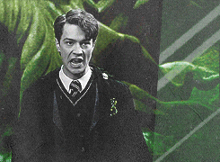  “We Slytherins look after our own… The corridors of Hogwarts can throw up surprises