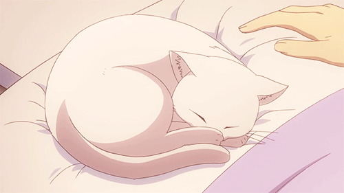 sakii-sh:  ♡
