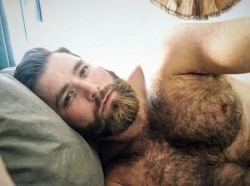 bent4beards:  The best beards found here!