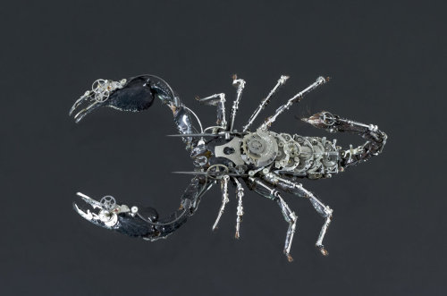 staceythinx:  MeCre (mechanical creatures) by Gaby Wormann 
