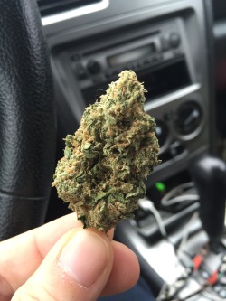 andthesorcerersstoned:  Blue dream, yum yum