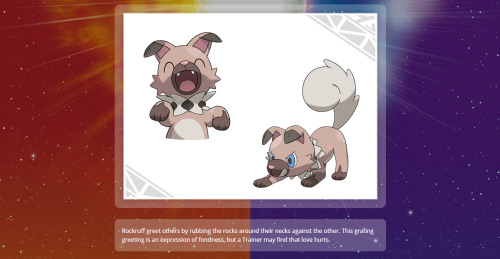 safarizonewarden:  Iwanka // Rockruff