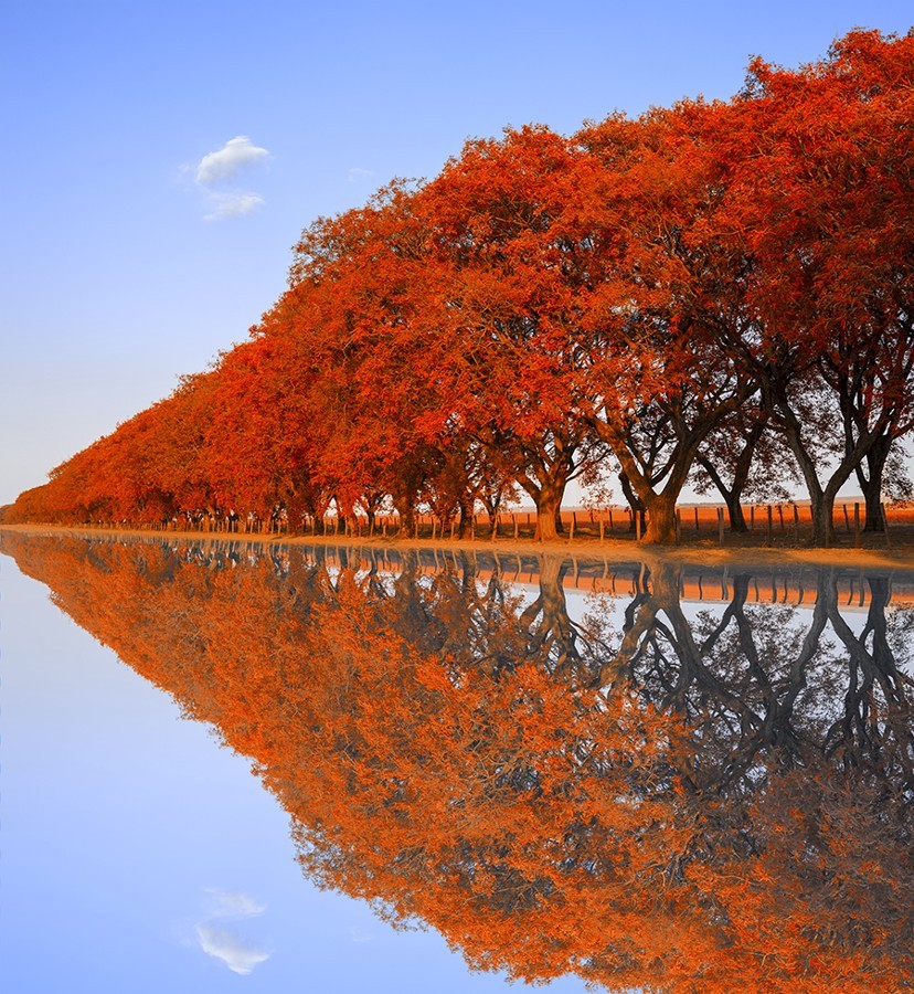 sothpark:  the lakeby enzodavide  