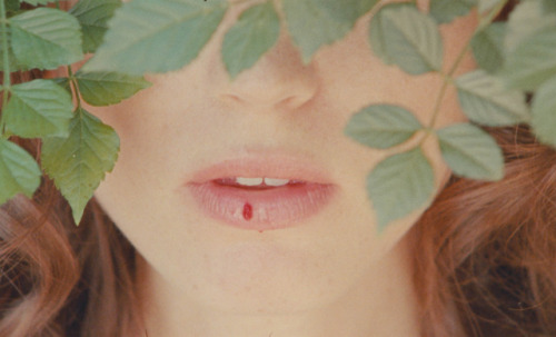Katerina Tannenbaum in a still from Poor Cherries a short film by Jimmy Marblepremiering on Nowness 