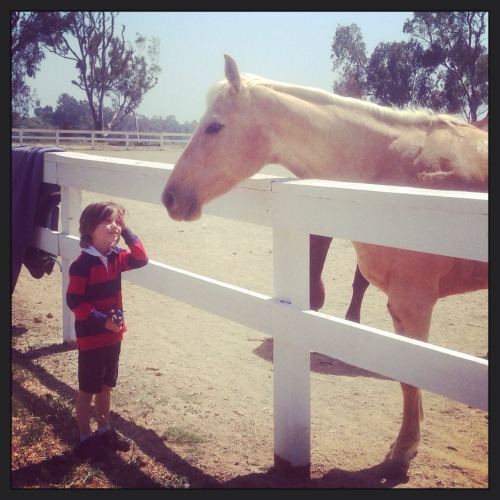 Wyatt met a horse this weekend.