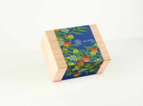 Gorgeous illustrated package by Ihan Su