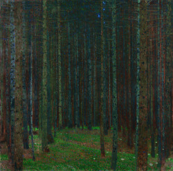 trulyvincent: Gustav KlimtThe Pine Forest I 1901, 90×90 cm • Oil, Canvas