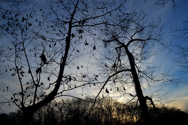 oix:  Untitled by 0ix on Flickr. 