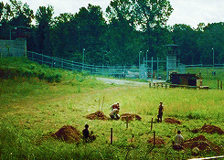 thewalkinggifs:  Isolation (*by request) 