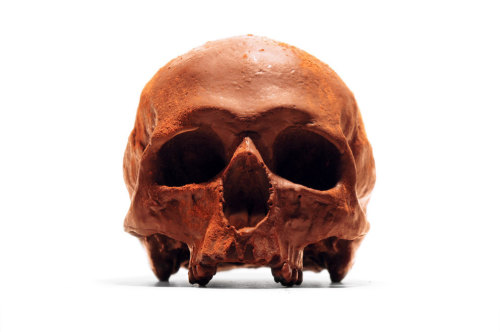 itscolossal:  Edible Anatomically Accurate Chocolate Human Skulls
