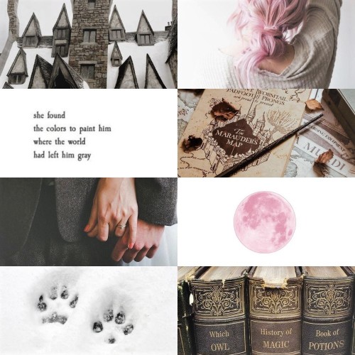 captainsjedi: Favorite Ships: Remus Lupin + Nymphadora Tonks “It’s you who needs me toni