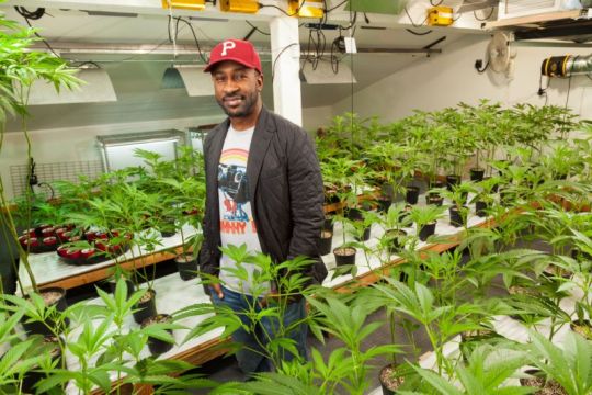 Porn photo 17 Black-Owned Cannabis Businesses You Should