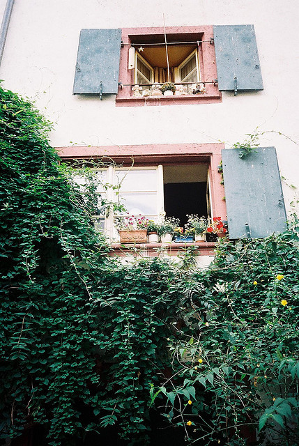 saint:  vintage blog