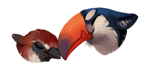 pigeoninacoffeeshop:designed some gryphon characters the other day!!i plan to use them for a project