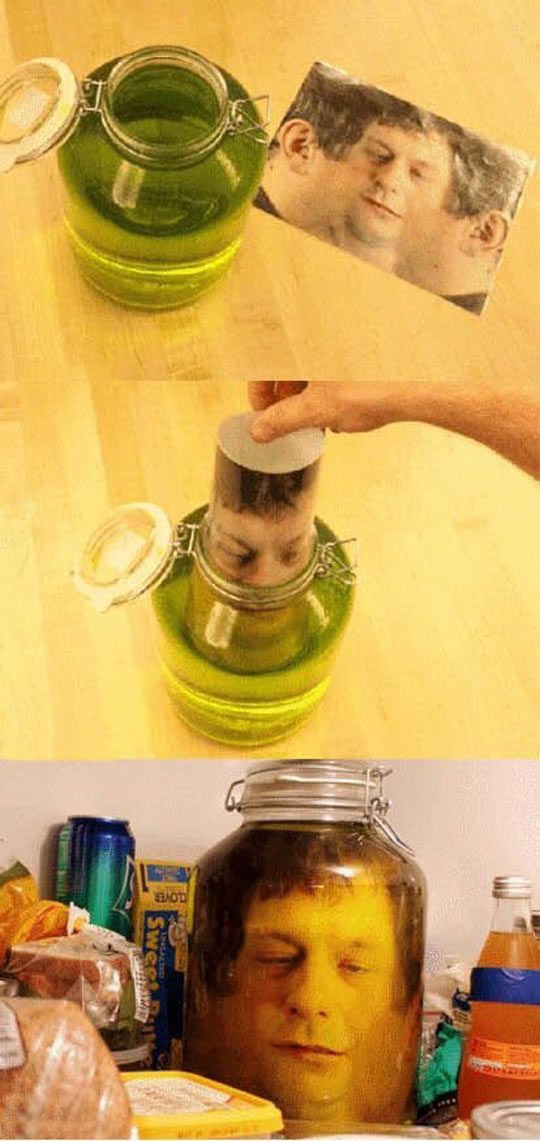 vortexanomaly:  head in a jar…