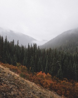 andrewtkearns:  Fall in the Cascades. 