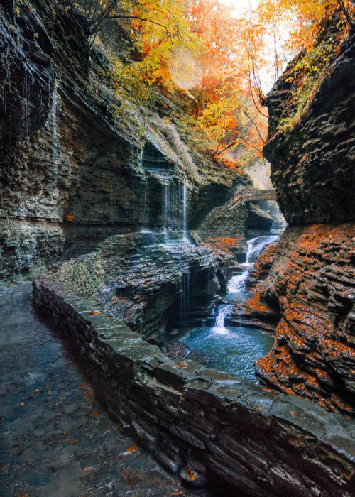 Porn photo coiour-my-world:Watkins Glen State Park |