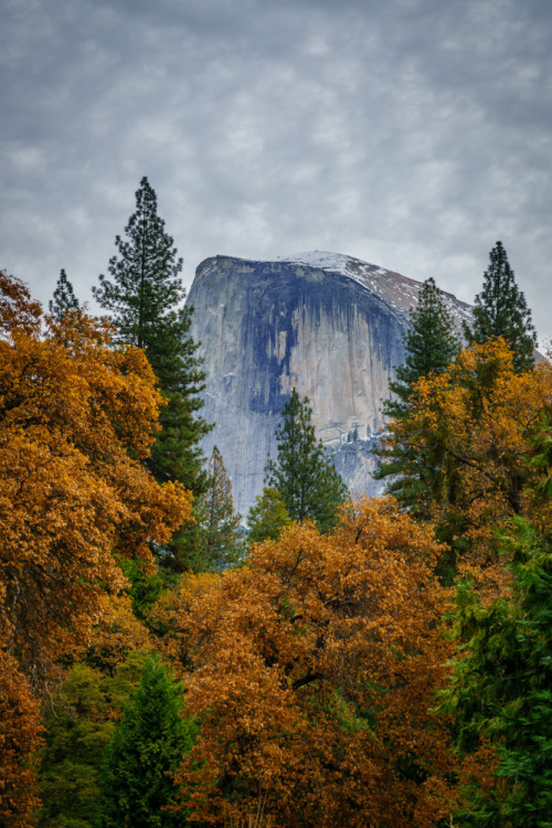 Here’s another view of Half Dome in Yosemite National Park, California. This one was taken fro