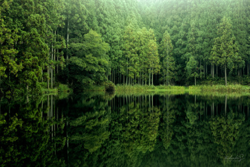 [ Perfect Reflection ] 70mm, f/11, ISO 100, 30sec Taken at Nara, Japan. 奈良県 龍王ヶ渕にて。